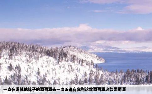 一直在喝其他牌子的葡萄酒头一次听说有宾利这款葡萄酒这款葡萄酒