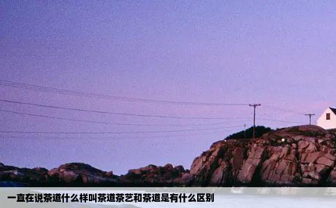 一直在说茶道什么样叫茶道茶艺和茶道是有什么区别
