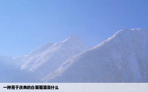 一种用于庆典的白葡萄酒是什么