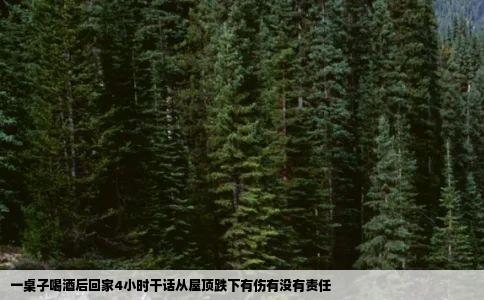 一桌子喝酒后回家4小时干话从屋顶跌下有伤有没有责任