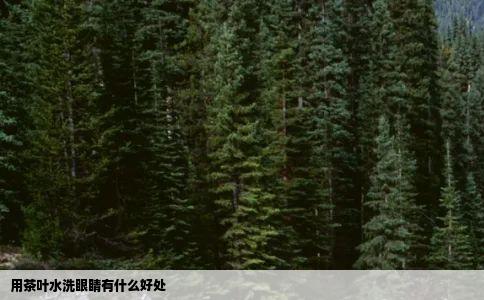 用茶叶水洗眼睛有什么好处