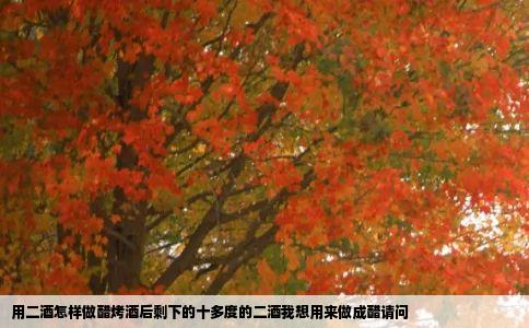 用二酒怎样做醋烤酒后剩下的十多度的二酒我想用来做成醋请问