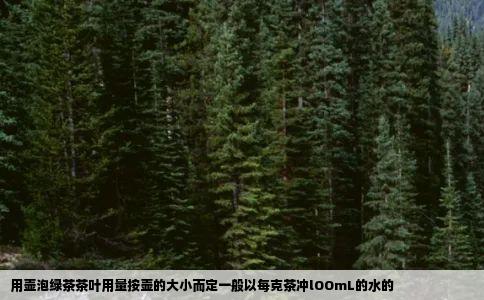 用壶泡绿茶茶叶用量按壶的大小而定一般以每克茶冲lOOmL的水的
