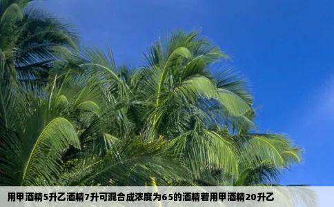 用甲酒精5升乙酒精7升可混合成浓度为65的酒精若用甲酒精20升乙
