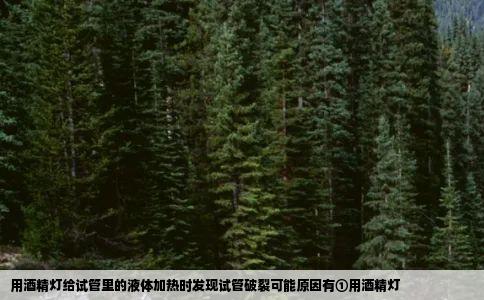 用酒精灯给试管里的液体加热时发现试管破裂可能原因有①用酒精灯