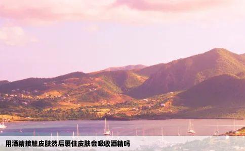 用酒精接触皮肤然后裹住皮肤会吸收酒精吗