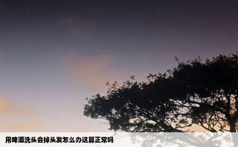 用啤酒洗头会掉头发怎么办这算正常吗