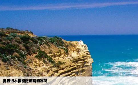 用普通木棍能做葡萄酒塞吗