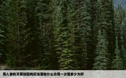 用人参肉苁蓉锁阳枸杞泡酒有什么功用一次喝多少为好
