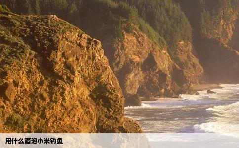 用什么酒泡小米钓鱼