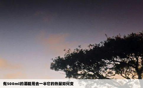 有500ml的酒精用去一半它的热量如何变