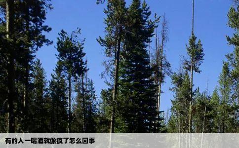 有的人一喝酒就像疯了怎么回事