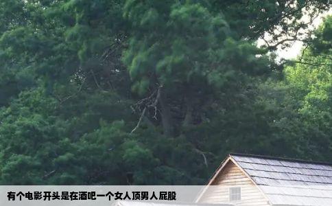 有个电影开头是在酒吧一个女人顶男人屁股