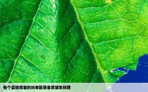 有个卖铁观音的叫老陈茶舍质量怎样啊