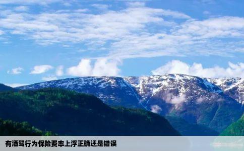 有酒驾行为保险费率上浮正确还是错误