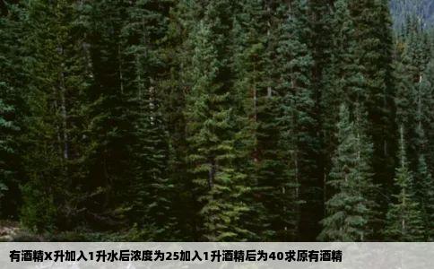 有酒精X升加入1升水后浓度为25加入1升酒精后为40求原有酒精