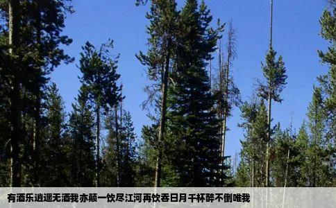 有酒乐逍遥无酒我亦颠一饮尽江河再饮吞日月千杯醉不倒唯我