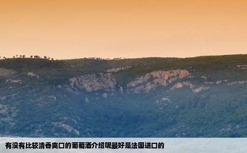 有没有比较清香爽口的葡萄酒介绍呢最好是法国进口的
