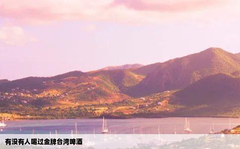 有没有人喝过金牌台湾啤酒