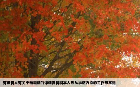 有没有人有关于葡萄酒的详细资料啊本人想从事这方面的工作想学到