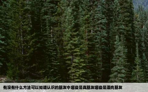 有没有什么方法可以知道认识的朋友中哪些是真朋友哪些是酒肉朋友