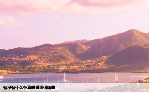 有没有什么在酒吧里面得嗨曲