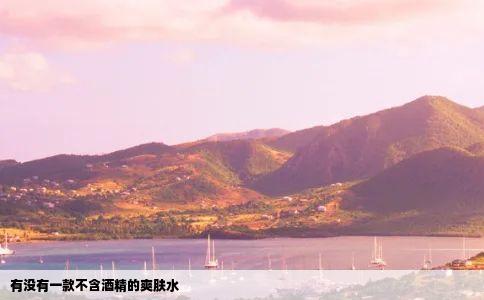 有没有一款不含酒精的爽肤水