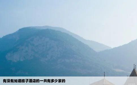 有没有知道桔子酒店的一共有多少家的