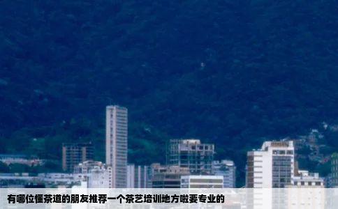 有哪位懂茶道的朋友推荐一个茶艺培训地方啦要专业的