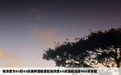 有浓度为85和45的两种酒精要配制浓度60的酒精溶液400克各取