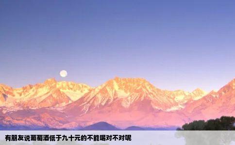 有朋友说葡萄酒低于九十元的不能喝对不对呢