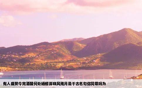 有人盛赞今宵酒醒何处杨柳岸晓风残月是千古名句你同意吗为