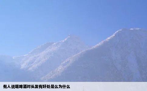 有人说喝啤酒对头发有好处是么为什么