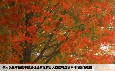 有人说我不抽烟不喝酒你还有没有男人应该有这我不抽烟喝酒难道