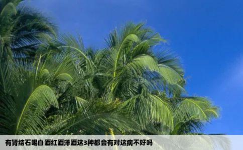 有肾结石喝白酒红酒洋酒这3种都会有对这病不好吗