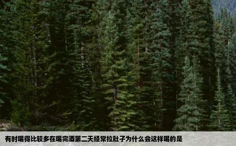 有时喝得比较多在喝完酒第二天经常拉肚子为什么会这样喝的是