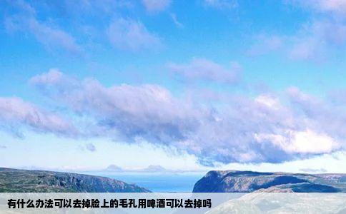 有什么办法可以去掉脸上的毛孔用啤酒可以去掉吗