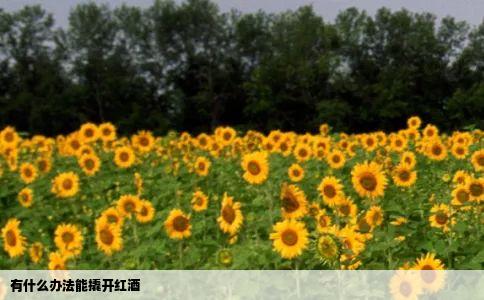 有什么办法能撬开红酒