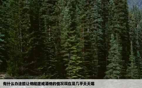 有什么办法能让他彻底戒酒他的情况现在是几乎天天喝