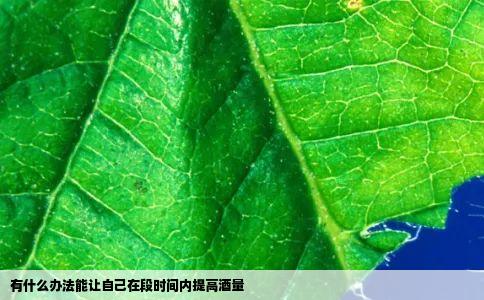 有什么办法能让自己在段时间内提高酒量