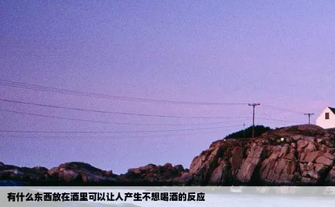 有什么东西放在酒里可以让人产生不想喝酒的反应