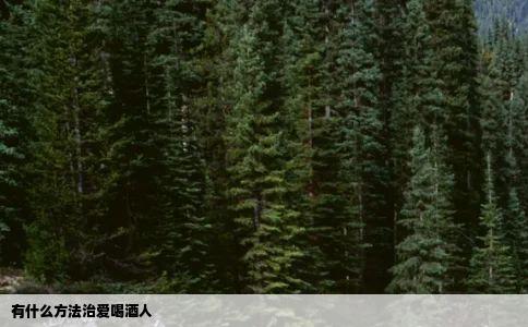 有什么方法治爱喝酒人