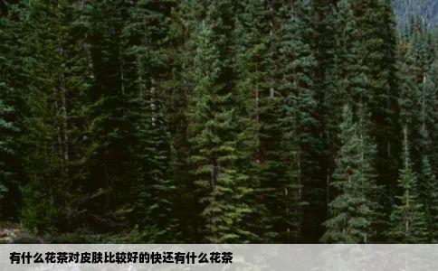有什么花茶对皮肤比较好的快还有什么花茶
