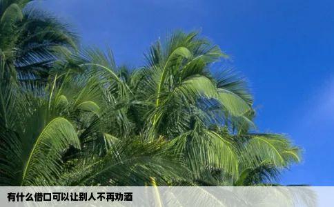 有什么借口可以让别人不再劝酒