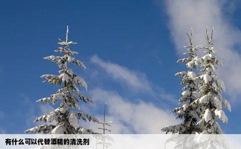 有什么可以代替酒精的清洗剂