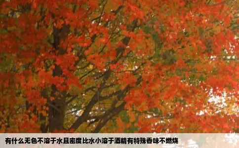 有什么无色不溶于水且密度比水小溶于酒精有特殊香味不燃烧