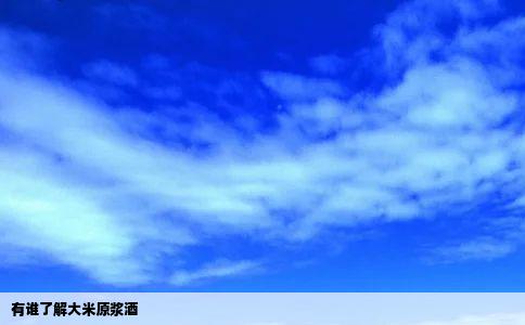 有谁了解大米原浆酒
