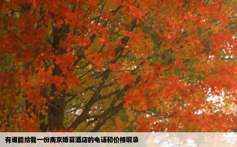 有谁能给我一份南京婚宴酒店的电话和价格啊急