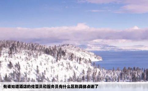 有谁知道酒店的传菜员和服务员有什么区别具体点谢了