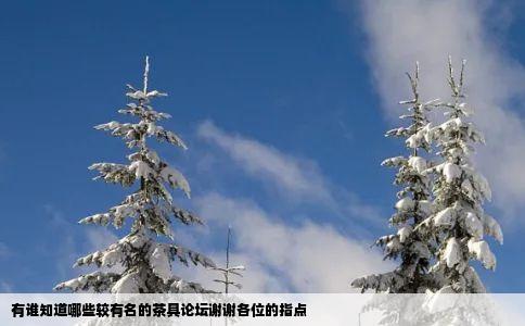 有谁知道哪些较有名的茶具论坛谢谢各位的指点